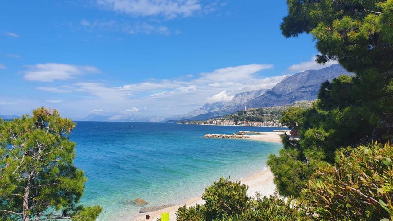 Maslina Mit Pool Und Garten Nahe Am * Tučepi